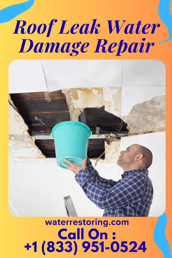 Roof Leak Water Damage Repair in Matherville, IL